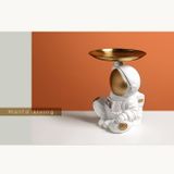  PHI HÀNH GIA ĐỂ ĐỒ 