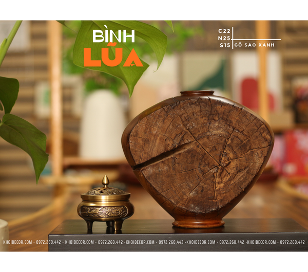  BÌNH LŨA SAO XANH - C22 