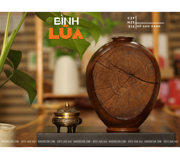  BÌNH LŨA SAO XANH - C29 