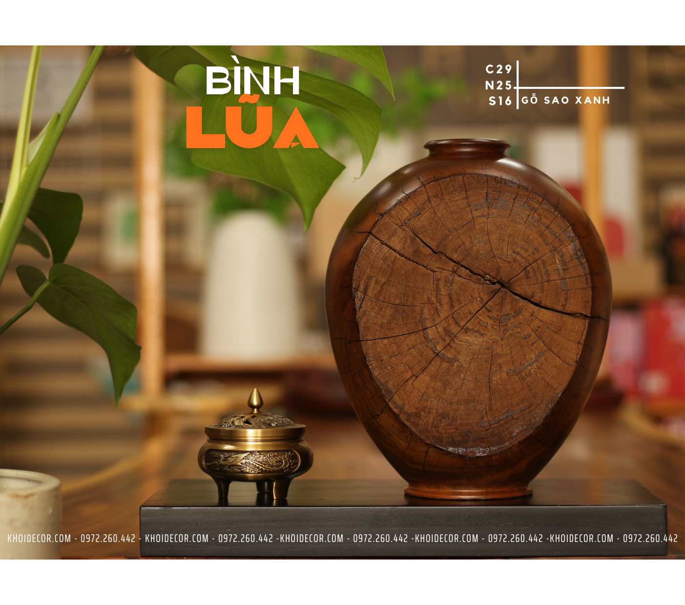  BÌNH LŨA SAO XANH - C29 