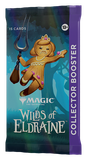  Wilds of Eldraine 