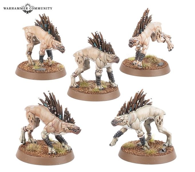  T'AU EMPIRE: KROOT HOUNDS 