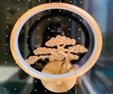 Đèn tường C6587