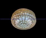 Đèn trần pha lê K9 A538-58169