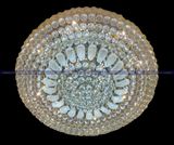 Đèn trần pha lê K9 A538-58169-1000