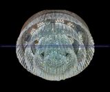 Đèn trần pha lê Ai Cập 20380-800