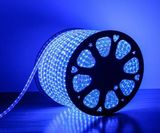 LED DÂY ASIA 3014 LD14