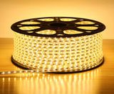 LED DÂY ASIA LD5730-120