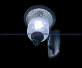 ĐÈN TƯỜNG NGOÀI TRỜI PL-90009