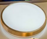 ĐÈN ỐP TRẦN LY-CL-C01-T 24W