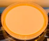 ĐÈN ỐP TRẦN OT450 VV 3M