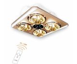 ĐÈN SƯỞI NHÀ TẮM ASIA ÂM TRẦN DS4AT-01