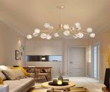 ĐÈN THẢ TRẦN HEZA-PHALE-15