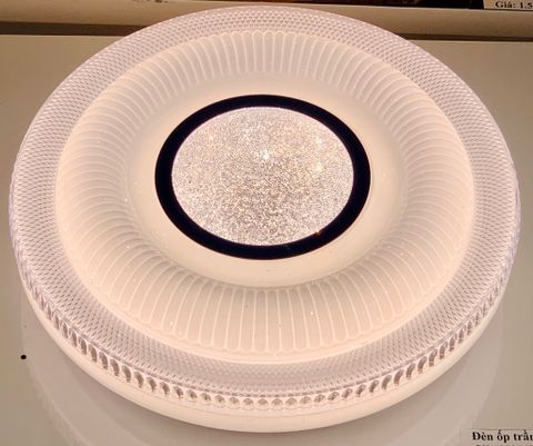 ĐÈN ỐP TRẦN VL-35024EMH-BLS