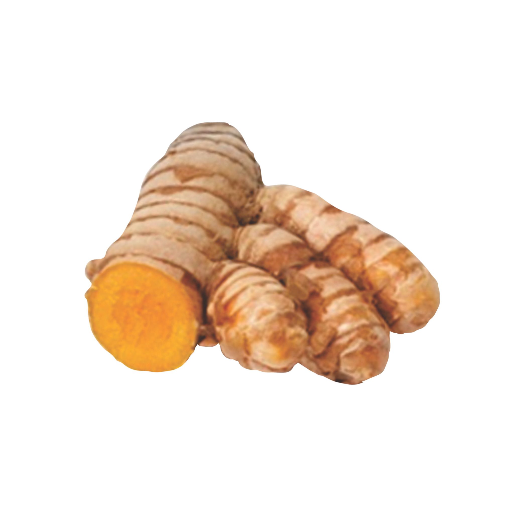 Củ nghệ nếp Củ nghệ nếp