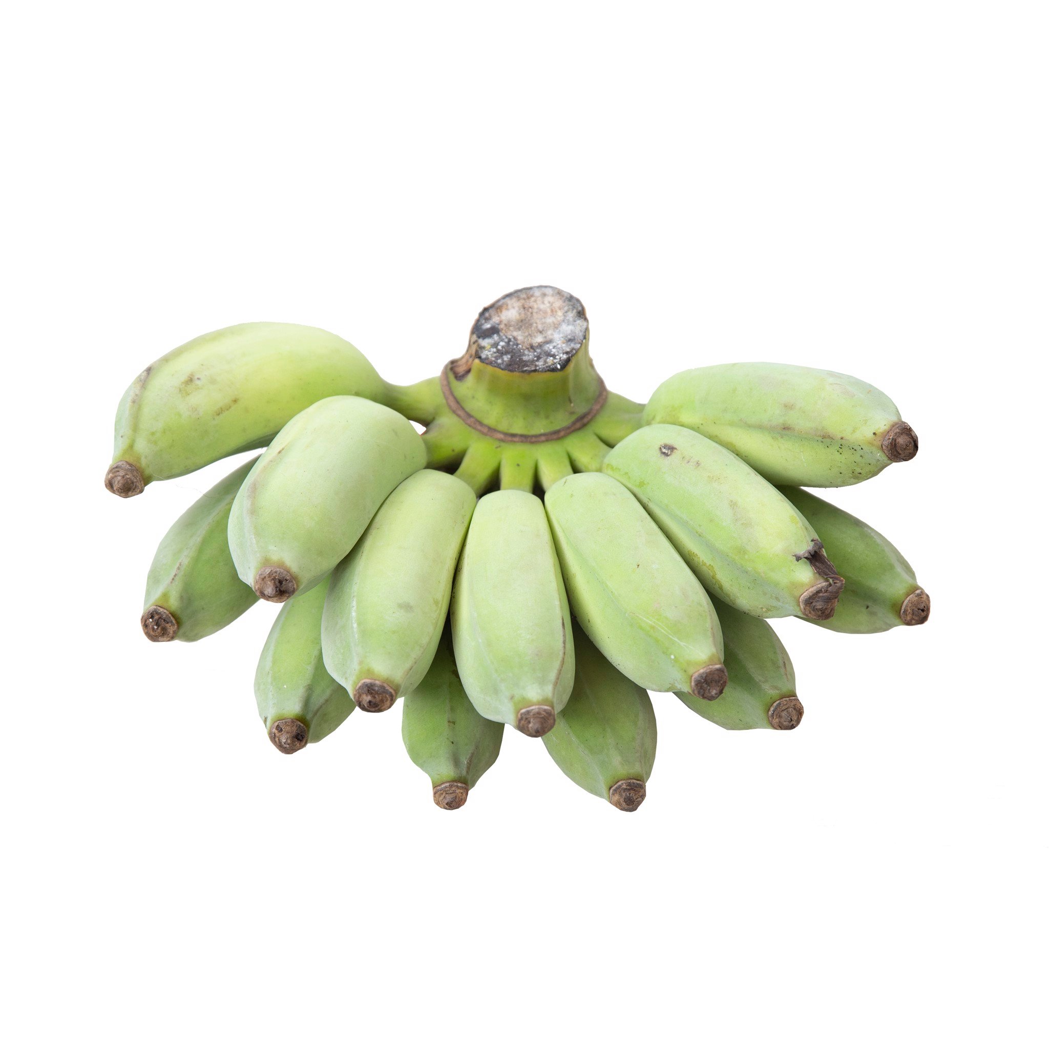 Chuối Mốc  Kỹ thuật trồng và canh tác hiệu quả