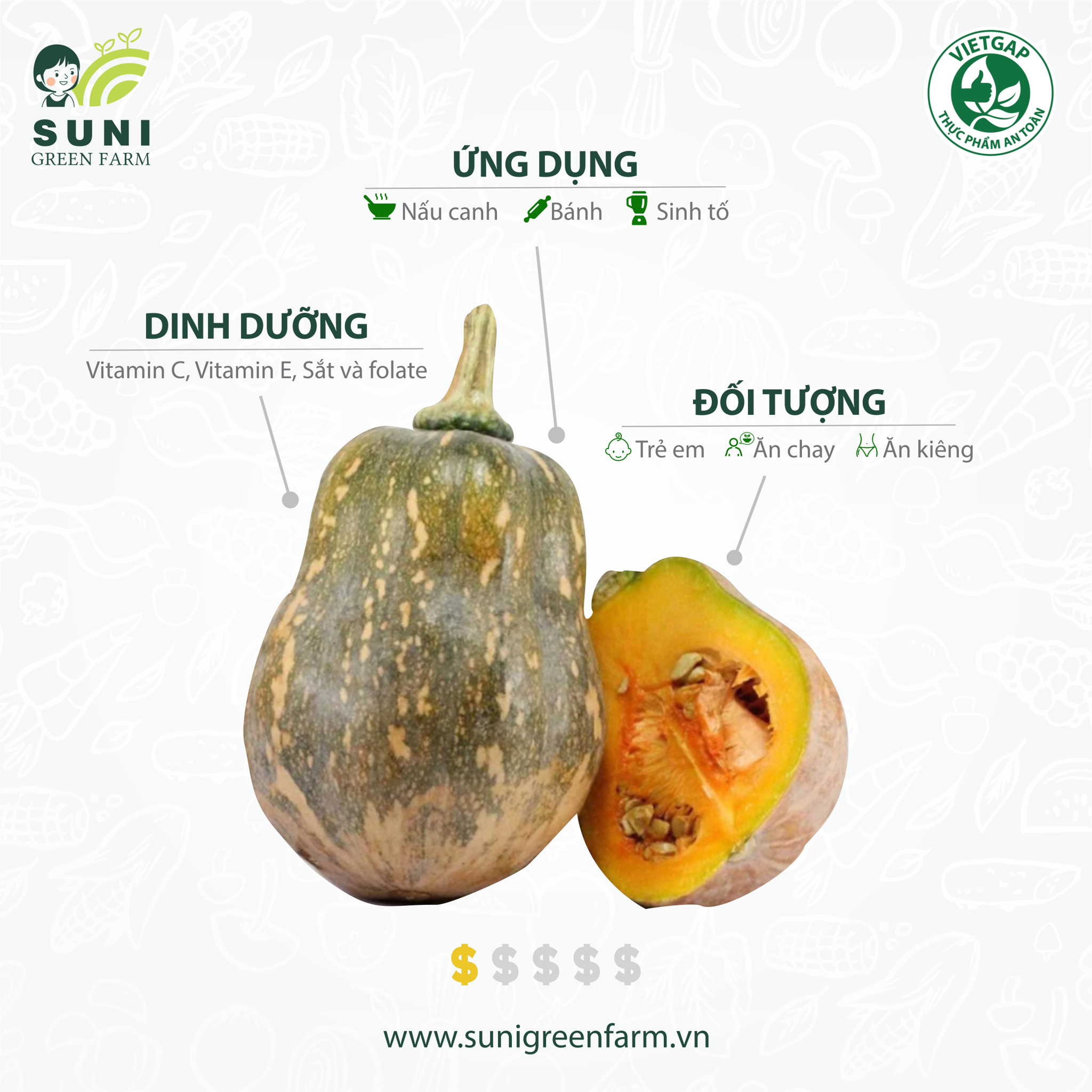 Hạt giống bí hạt đậu  Kỹ thuật trồng bí đỏ hạt đậu
