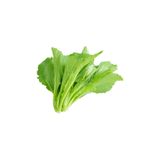  Cải xanh baby 