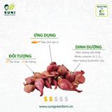  Hành Tím Lý Sơn 