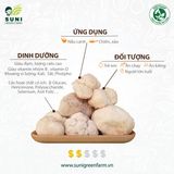  Nấm Hầu Thủ 