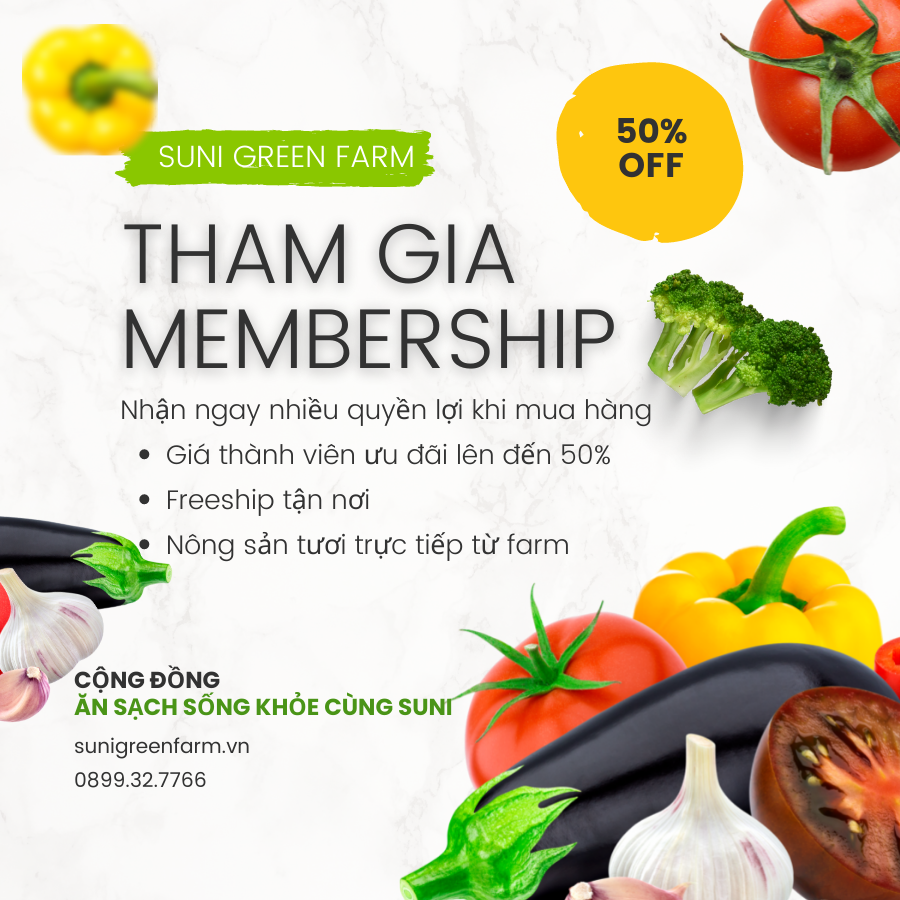  Dưa Cải Chua 