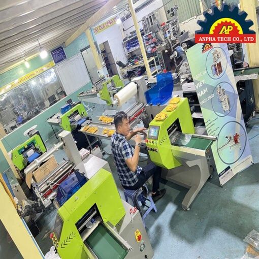 Máy Đóng Gói Dạng Khay Xoài, Khay Bánh Anpha Tech ISO 9001:2015 Made In Vietnam