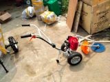 MÁY CẮT CỎ ĐẨY TAY
