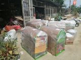 MÁY TUỐT LÚA MINI TL02