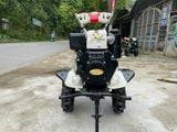 MÁY DẦU TRÂU VÀNG 173