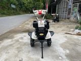 MÁY DẦU TRÂU VÀNG 173