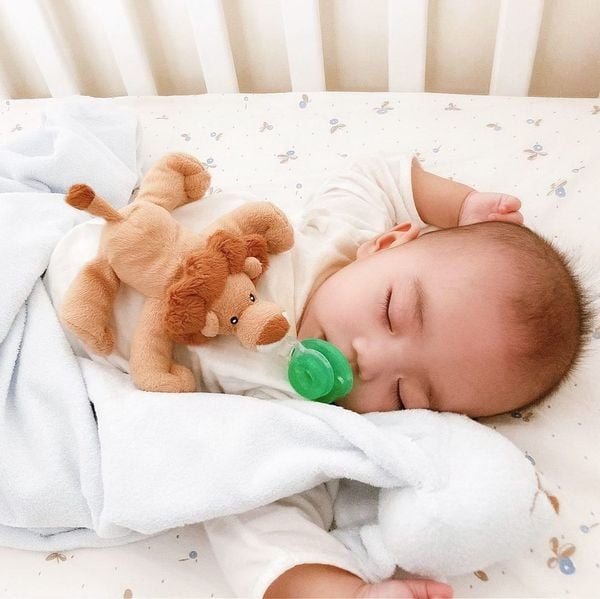 Nookums Núm Ti Silicone Kèm Thú Bông Cao Cấp An Toàn Cho Bé