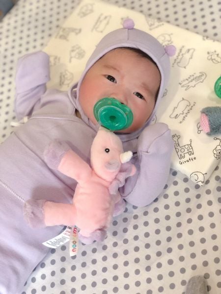 Nookums Núm Ti Silicone Kèm Thú Bông Cao Cấp An Toàn Cho Bé