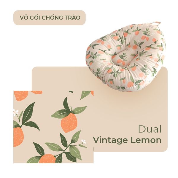 Elava Vỏ Gối Chống Trào Ngược Thoáng Khí Cho Bé Sơ Sinh (Không Kèm Ruột Gối)