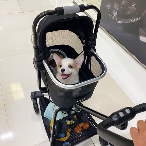 Unilove Lồng Đựng, Vận Chuyển Thú Cưng On-the-Go