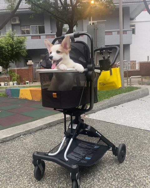 Unilove Lồng Đựng, Vận Chuyển Thú Cưng On-the-Go