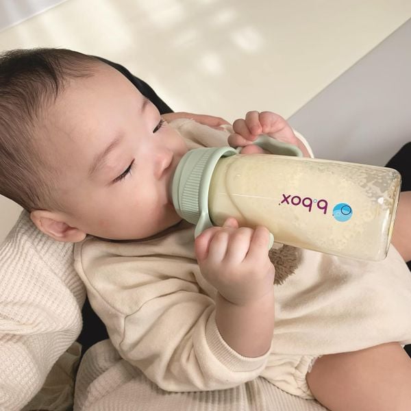 b.box Phụ Kiện Tay Cầm Bình Sữa PPSU (Set 2 Cái)
