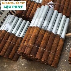 Bu lông neo móng cường độ cao 8.8, 10.9