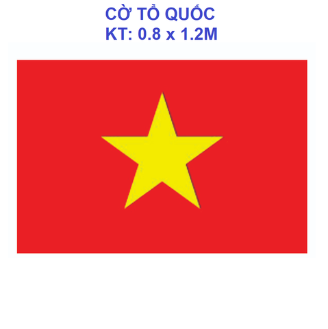 Cờ Tổ Quốc - KT 80x120cm