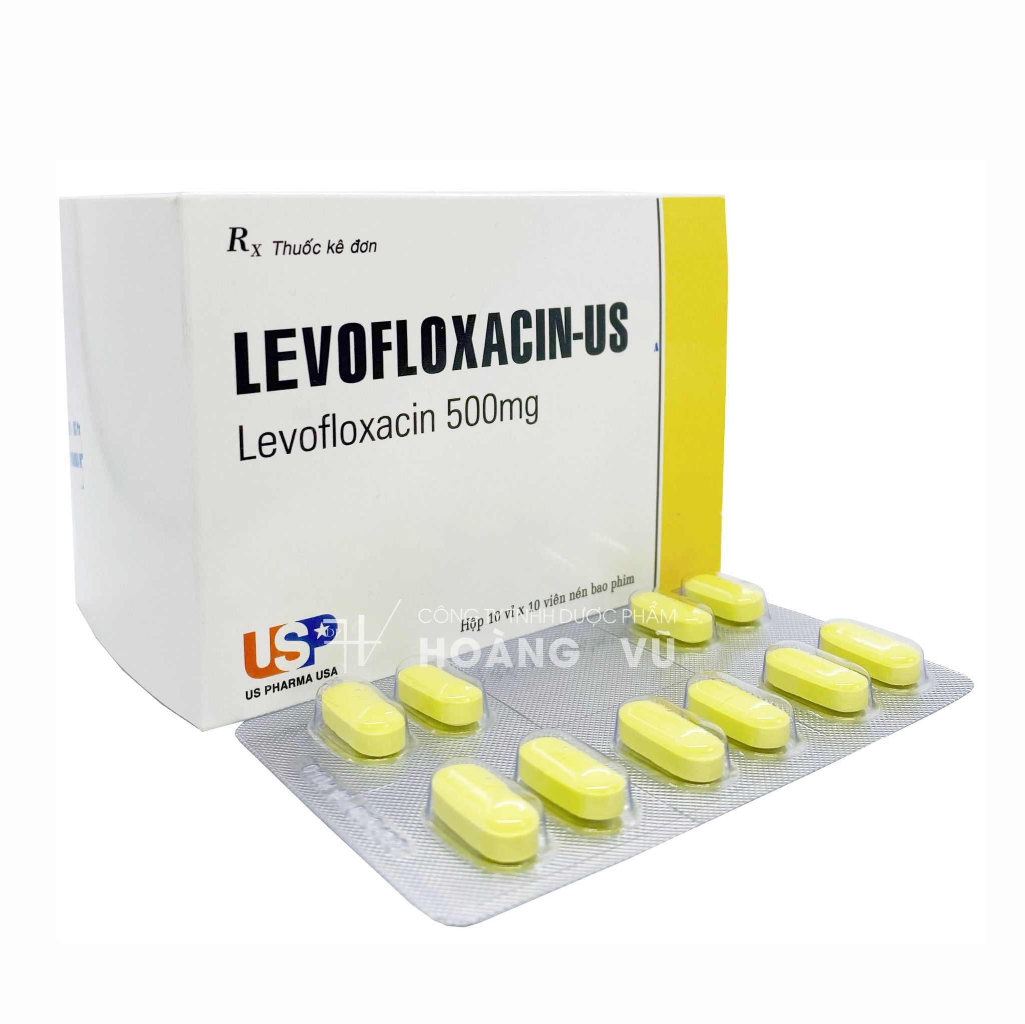 LEVOFLOXACIN - US (H/100V)