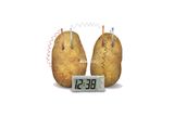  Đồ Chơi - Đồng Hồ Khoai Tây - Potato Clock - Đồ Chơi Thông Minh Khoa Học 