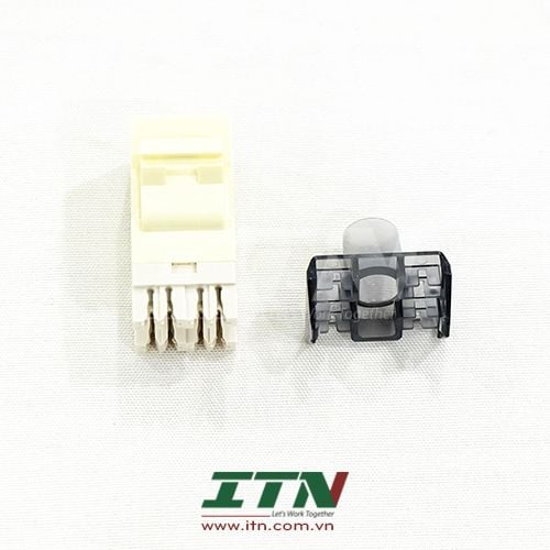 Nhân mạng Cat6 UTP 1375055-1 Commscope chính hãng màu hạnh nhân