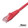 Dây nhảy Cat6 Panduit NK6PC5MRD 5 mét màu đỏ ( Red )UTP patch cord Panduit