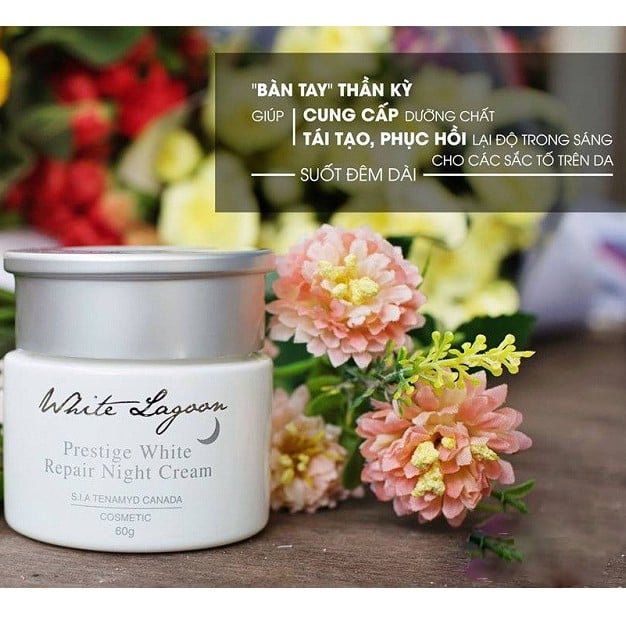 Kem Dưỡng Trắng Da Ban Đêm Tenamyd Prestige White Repair Night Cream