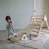  COMBO Pikler Gấp gọn và Tấm trèo 120cm 