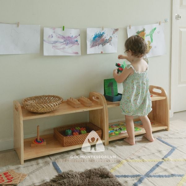 Montessori Shelf