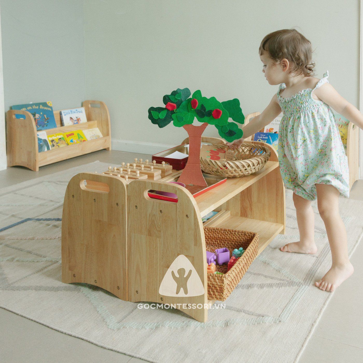  Montessori Shelf 