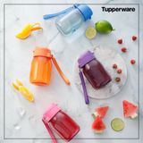 Bình Uống Nước Tupperware [350/550ml/Hàng Chính Hãng]