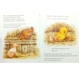 Sách - Picture Book Song Ngữ - Quả Trứng Của Lợn Con
