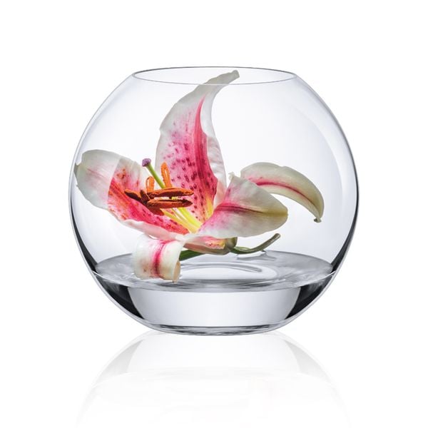 Lọ hoa dáng tròn Ambiente Rona 20cm – Rosada