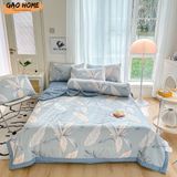  Cotton MỊN - GA TRẦN 